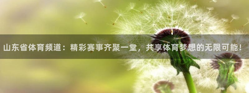 体育赛事视频直播看球吧
