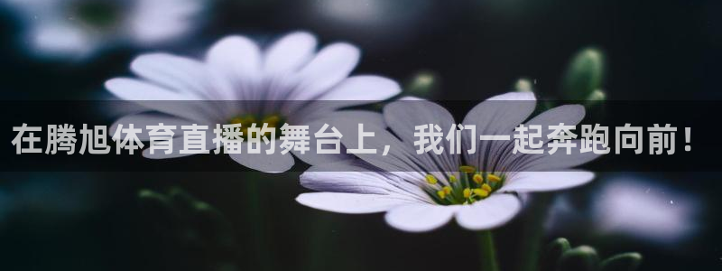 看球吧直播网：在腾旭体育直播的舞台上，我们一起奔跑向前！