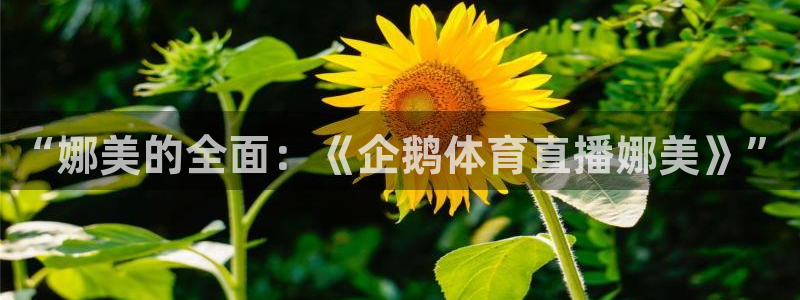 看球吧jrs直播：“娜美的全面：《企鹅体育直播娜美》”