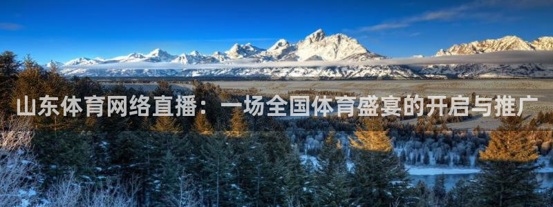 足球直播看球吧：山东体育网络直播：一场全国体育盛宴的开启与推广