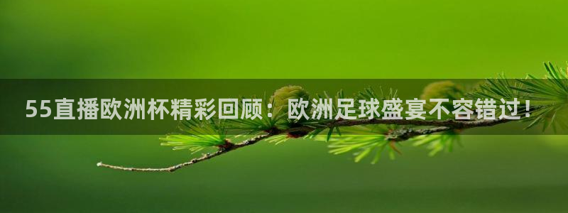 看球吧中超直播：55直播欧洲杯精彩回顾：欧洲足球盛宴不容错过！