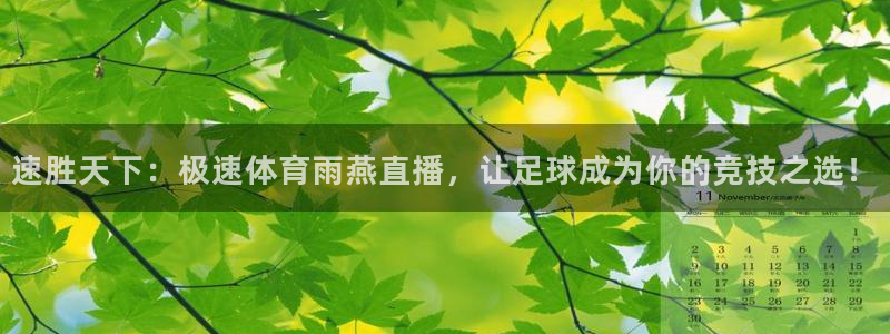 看球吧jrs直播nba：速胜天下：极速体育雨燕直播，让足球成为你的竞技之选！