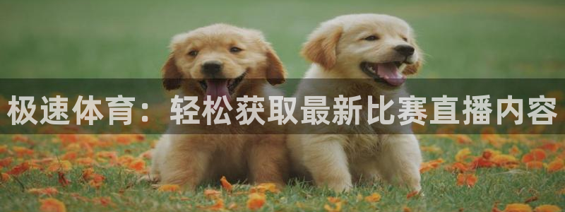 看球吧足球直播：极速体育：轻松获取最新比赛直播内容