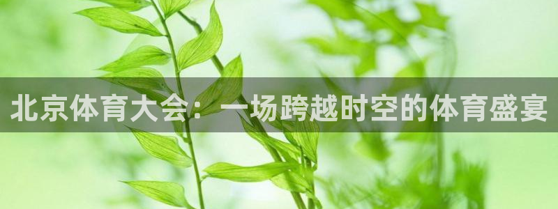 看球吧jrs直播nba：北京体育大会：一场跨越时空的体育盛宴