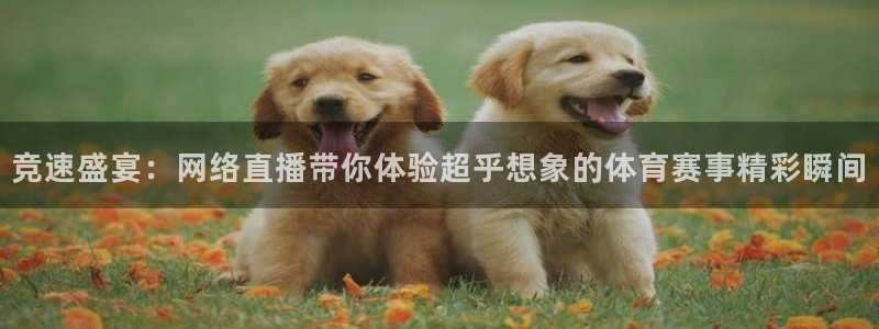 看球吧jrs直播免费直播平台：竞速盛宴：网络直播带你体验超乎想象的体育赛事精彩瞬间