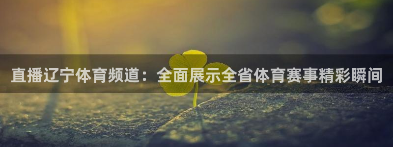 直播看球吧：直播辽宁体育频道：全面展示全省体育赛事精彩瞬间