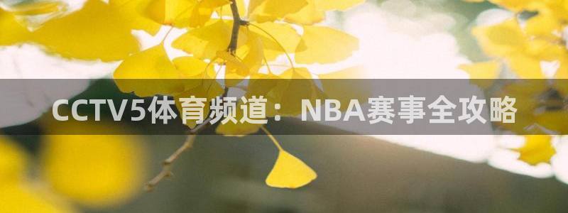 365看球吧直播：CCTV5体育频道：NBA赛事全攻略